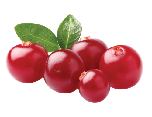 Imurol Dr Jacobs żurawina