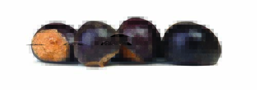 ReiChi Zen Guarana Dr Jacobs